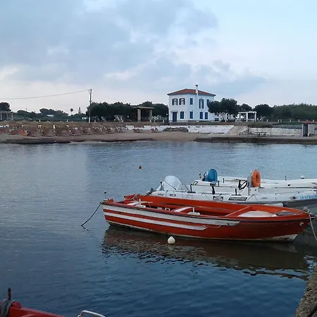 Gospodarstwo wiejskie Nestor Surf House